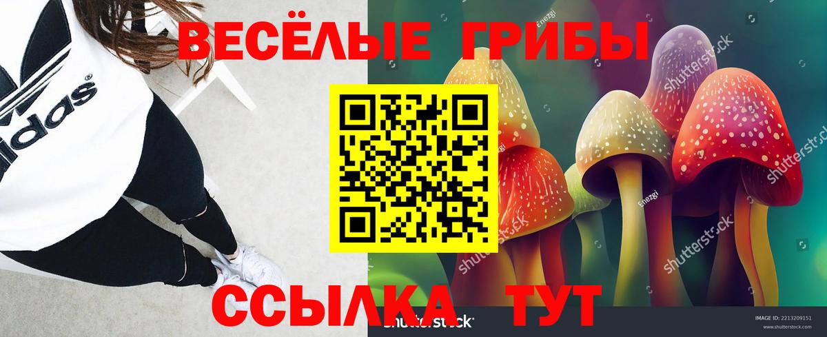 Псилоцибиновые грибы GOLDEN TEACHER Новокубанск