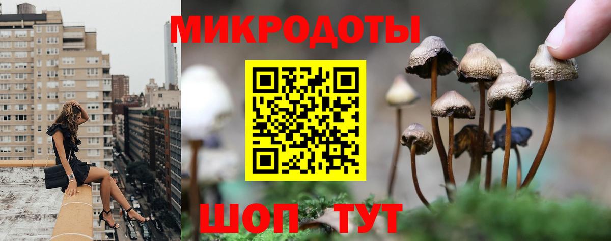 где купить   Галлюциногенные грибы MAGIC MUSHROOMS  Вход с VPN  Новокубанск 