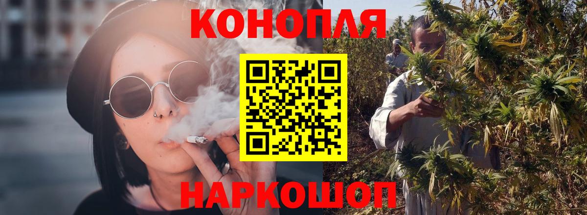 Бошки Шишки сатива Новокубанск