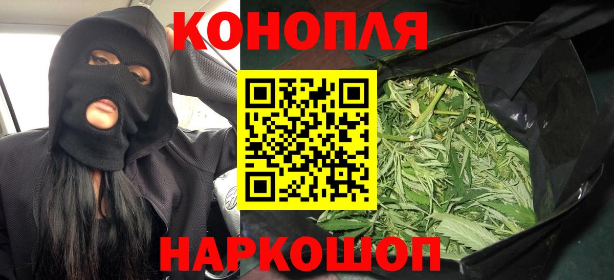 Шишки марихуана планчик  Каннабис планчик  Вход с VPN  Марихуана ГИДРОПОН  Новокубанск 